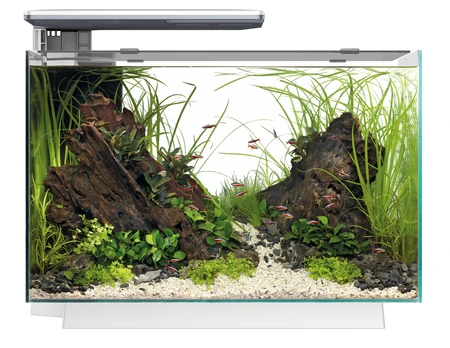 Superfish Aquarium quadro 70 pro wit 1Stuk - afbeelding 3