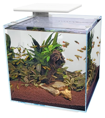 Superfish Aquarium qubiq 60 pro wit 1Stuk - afbeelding 3