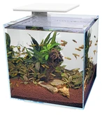Superfish Aquarium qubiq 60 pro wit 1Stuk - afbeelding 3