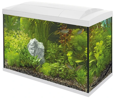 Superfish Aquarium start 100 tropical kit wit 1Stuk - afbeelding 1