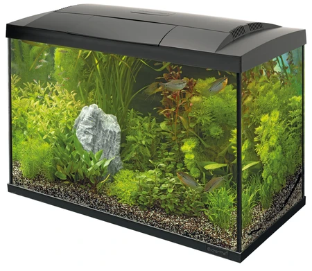 Superfish Aquarium start 70 tropical kit zwart 1Stuk - afbeelding 1