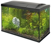 Superfish Aquarium start 70 tropical kit zwart 1Stuk