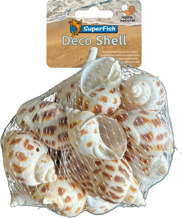 Superfish Aquariumdecoratie schelp spiraal gestreept 200GRM