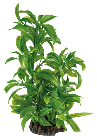Superfish Artplant 25cm dracaena 1Stuk