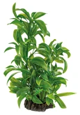Superfish Artplant 25cm dracaena 1Stuk
