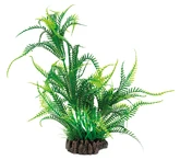 Superfish Artplant 25cm microsorum 1Stuk