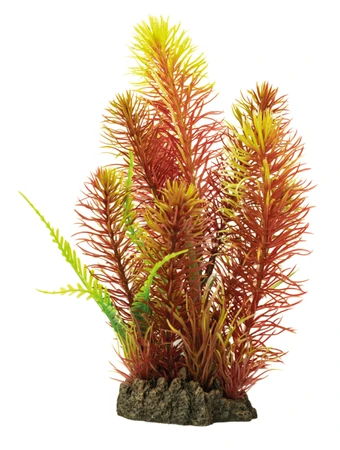 Superfish Artplant 25cm myriophyllum red 1Stuk