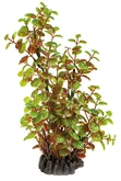 Superfish Artplant 25cm rotala 1Stuk