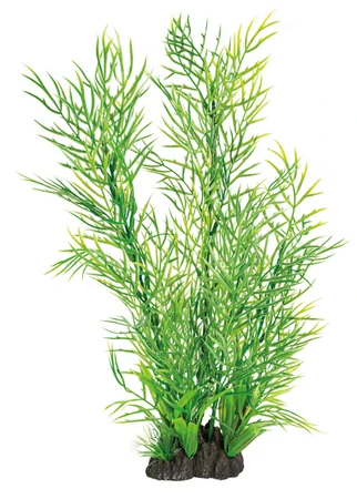 Superfish Artplant 40cm ceratopteris 1Stuk