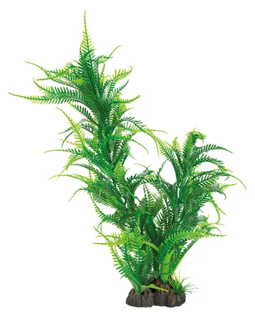 Superfish Artplant 40cm microsorum 1Stuk