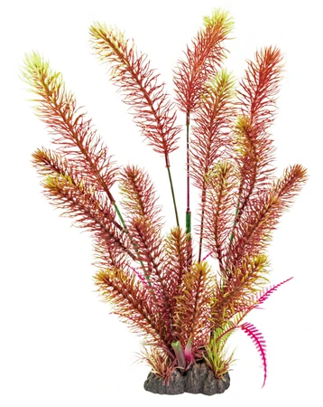 Superfish Artplant 40cm myriophyllum red 1Stuk
