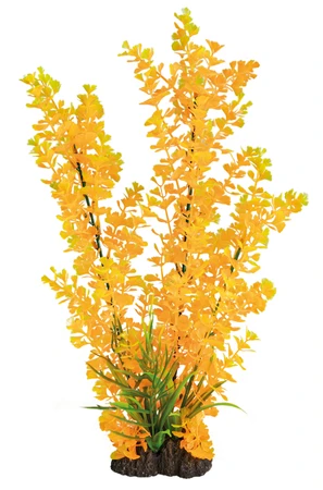 Superfish Artplant 40cmludwigia orange 1Stuk