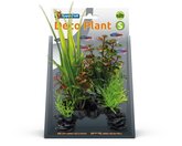 Superfish Deco Plant S Rotala