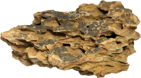 Superfish Decoratiesteen dragon 5KGM