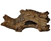 Superfish Logwood s 1Stuk