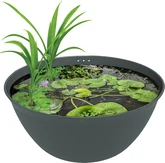 Superfish Medakabowl 600 1Stuk - afbeelding 1