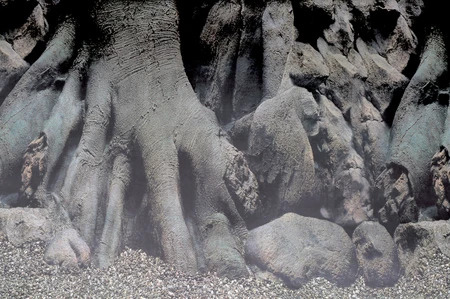 Superfish Poster d4 120x49cm 1Stuk - afbeelding 2