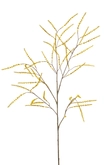 Tamarisk spray yellow 100cm