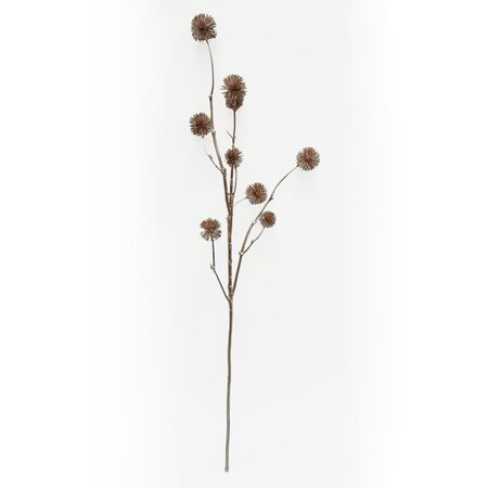 Taraxacum tak 79cm - afbeelding 2