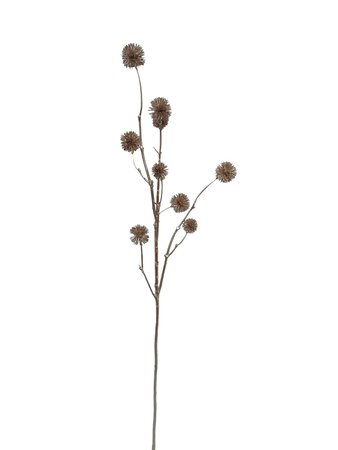 Taraxacum tak 79cm - afbeelding 1