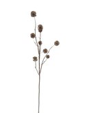 Taraxacum tak 79cm - afbeelding 2