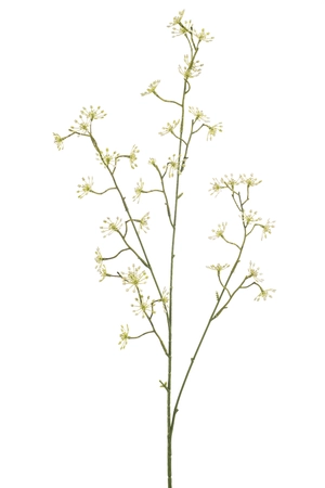 Thapsia spray lt green 88cm