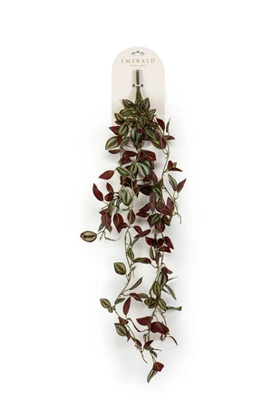 Tradescantia hanging bush green/burgundy 85cm