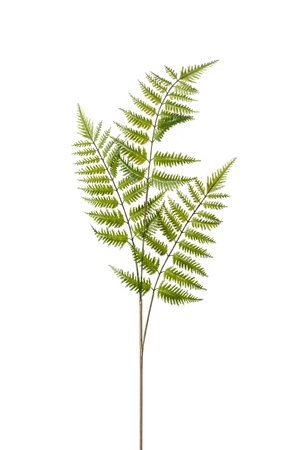 Fern tree spray green 85cm