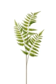 Fern tree spray green 85cm