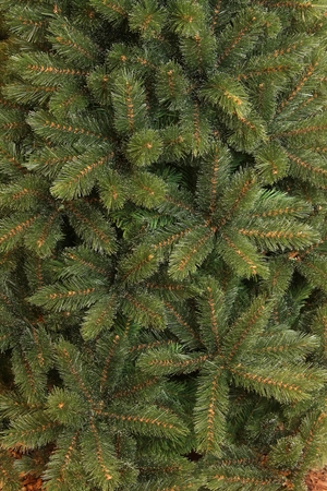 Triumph Tree Kunstkerstboom Forest Frosted slim groen - H 155 x Ø 86 cm - afbeelding 2