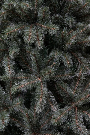 Triumph Tree Kunstkerstboom Forest Frosted slim newgrowth blauw - H 155 x D 86 cm - afbeelding 2