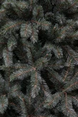 Triumph Tree Kunstkerstboom Forest Frosted slim newgrowth blauw - H 155 x Ø 86 cm - afbeelding 2