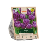 Tulipa Double Late Blue Diamond per 3