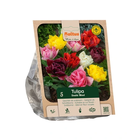Tulipa Double Mixed per 5