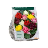 Tulipa Dubbel Mix per 15