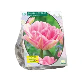 Tulipa Dubbel Vroeg Foxtrot per 10