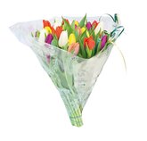 Tulpenboeket