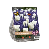 Urban Flowers - Borders Beauty per 25