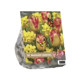 Urban Flowers - Brazilian Carnaval per 12