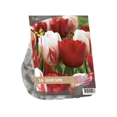 Urban Flowers - Lucky Love per 14