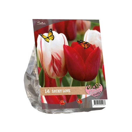 Urban Flowers - Lucky Love per 14 - afbeelding 2