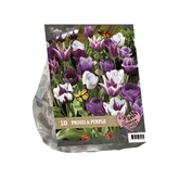 Urban Flowers - Proud & Purple per 18 - afbeelding 1