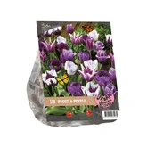 Urban Flowers - Proud & Purple per 18 - afbeelding 2