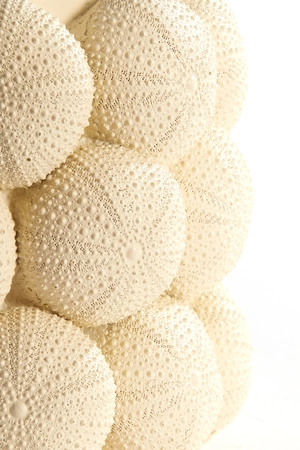 Light & Living Vase deco Ø20,5x18 cm SEA URCHIN cream - afbeelding 3