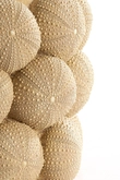 Light & Living Vase deco Ø25x40 cm SEA URCHIN sand - afbeelding 3
