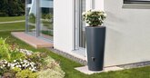 Vaso design regenton antraciet 220 liter - afbeelding 2