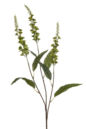 Veronica spray green 97cm