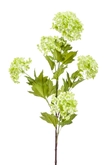 Viburnum spray lt green 85cm