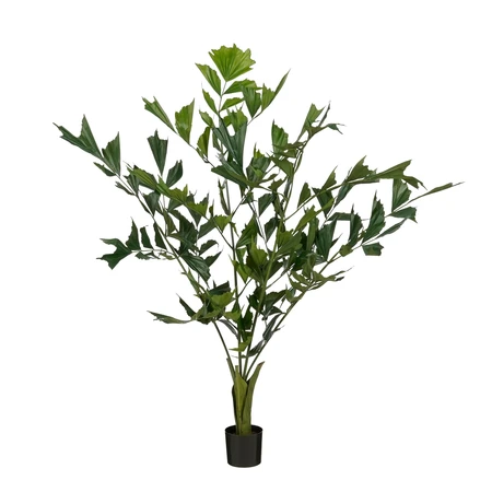 Vissenstaart palm in pot groen - h120xd80cm