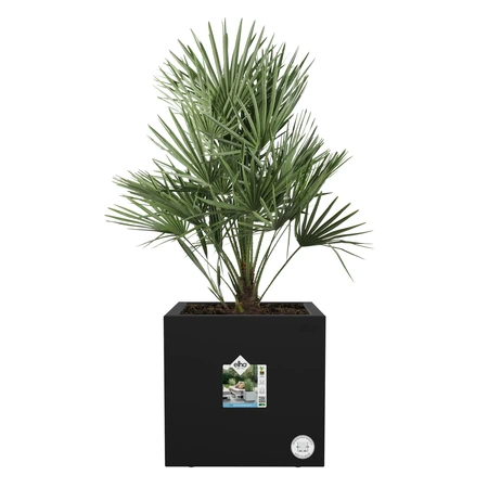 vivo next vierkant 40cm liv black - afbeelding 6